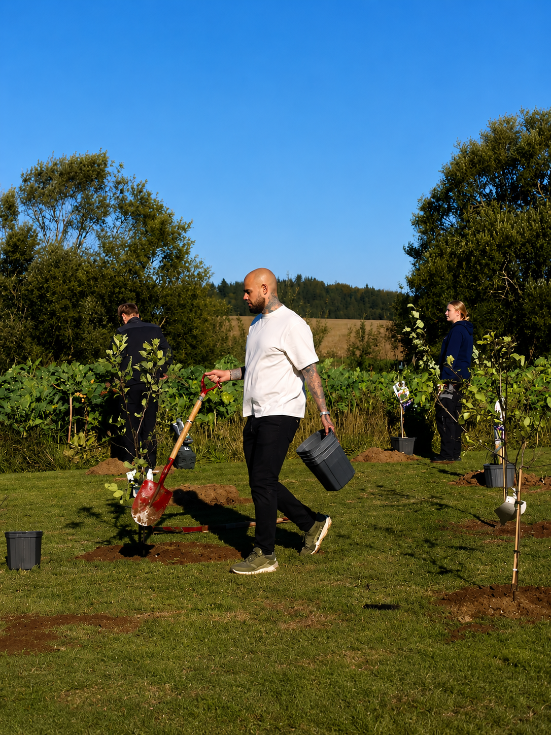 Plantet træ — del af studiets bidrag til en grønnere fremtid.